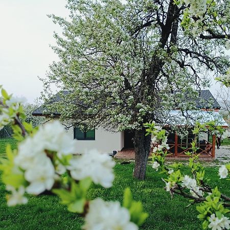 Къща За Гости Софаш Stoevtsi Esterno foto